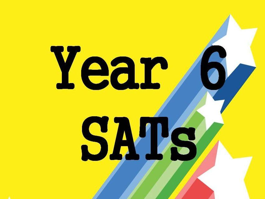 Primitas Primary Schools Shine in Year 6 SATs